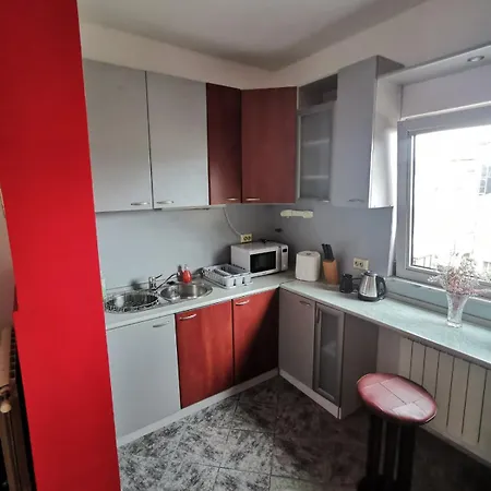 Beloved Birch アパート スコピエ