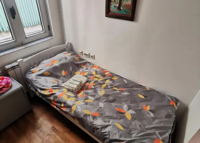 Beloved Birch スコピエ