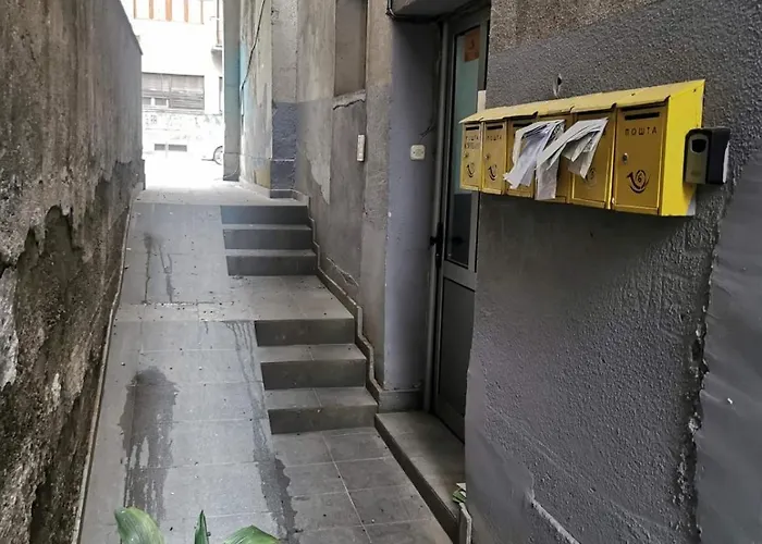 Beloved Birch * Скоп'є